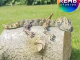 Articulated Dragon | Flexi Horn Dragon-4