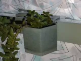 window pot or planter -0