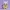 Mewtwo Pikachu