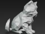 cat-3