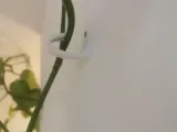 Hook For Plants-3