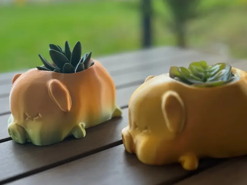 COCHON