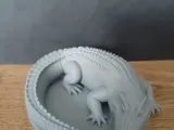 Crocodile / Alligator-2