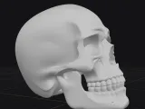 skull-2