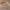 Serre-tête et anneau à cheveux Cosplay Costume Cosmétique v2