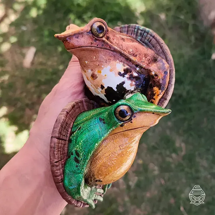 RÃ DE PAREDE DE DARWIN