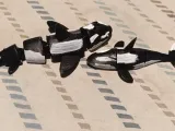 ballena orca-1
