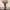 vase, florero, flowers, decoration,