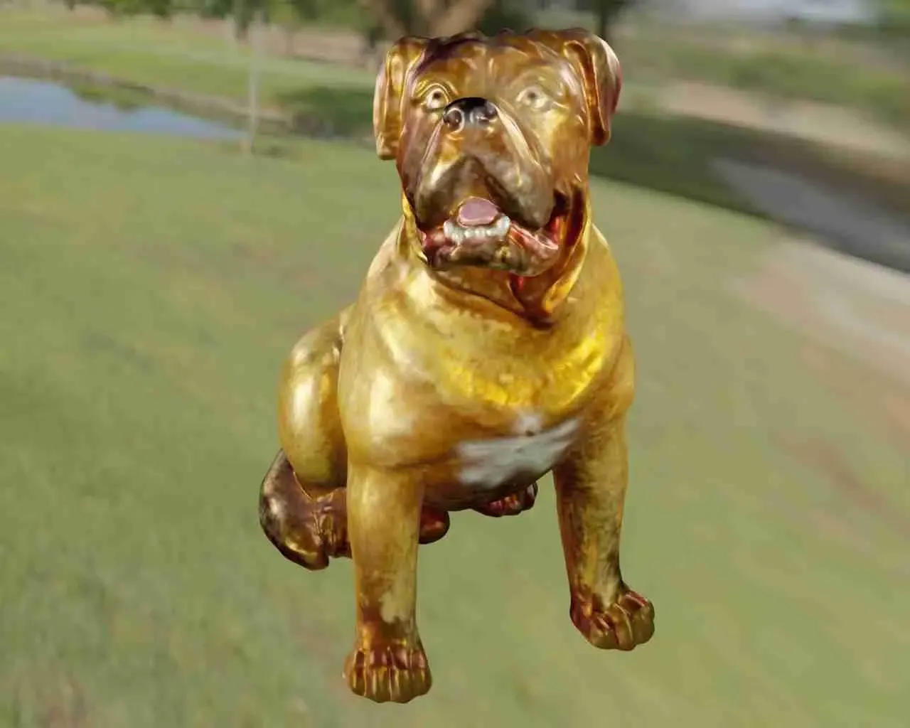 Dog Pitbull