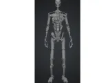 Droid Skeleton-1