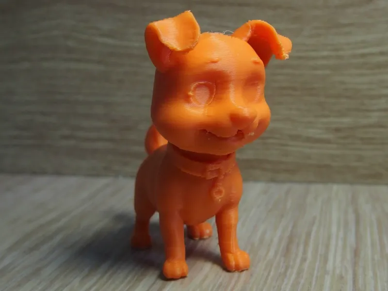 cute dog