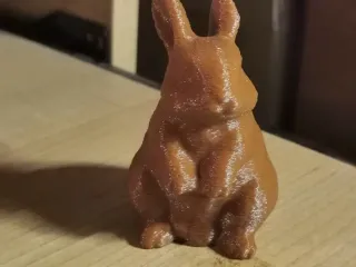 Bunny