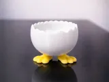 Hatching Egg Holder-2