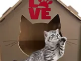 PETS LOVE-1