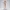 Isla Pearl – Ecchi Figurine