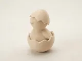 Hatched Chicken-1