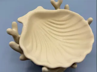 Coral Shell Trinket Jewelry Key Holder