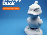 Grumpy Duck on a Rock-0