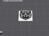 Bear-1