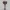 Infernal Rune Mace – Dark Fantasy Weapon Collectible