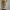 C-3po lego wall bracket