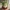Happy Santa Claus Plant Pot