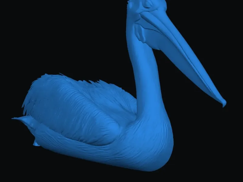 Sitting Pelican 