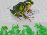 a beautiful frog collection-4