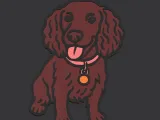 Working Cocker Spaniel Coloured-0