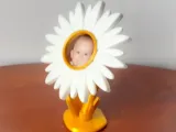 Daisy Photo Frame-2