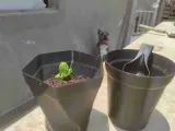 Twist Hex and Extra Twist Plant pots Vasemode print-2