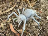 Spider monster, tarantula-3