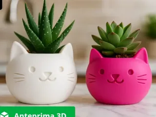 vaso gatto
