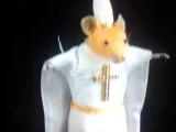 cat-0