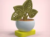 Decorative Plant-5