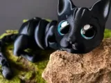 flexy cat -0