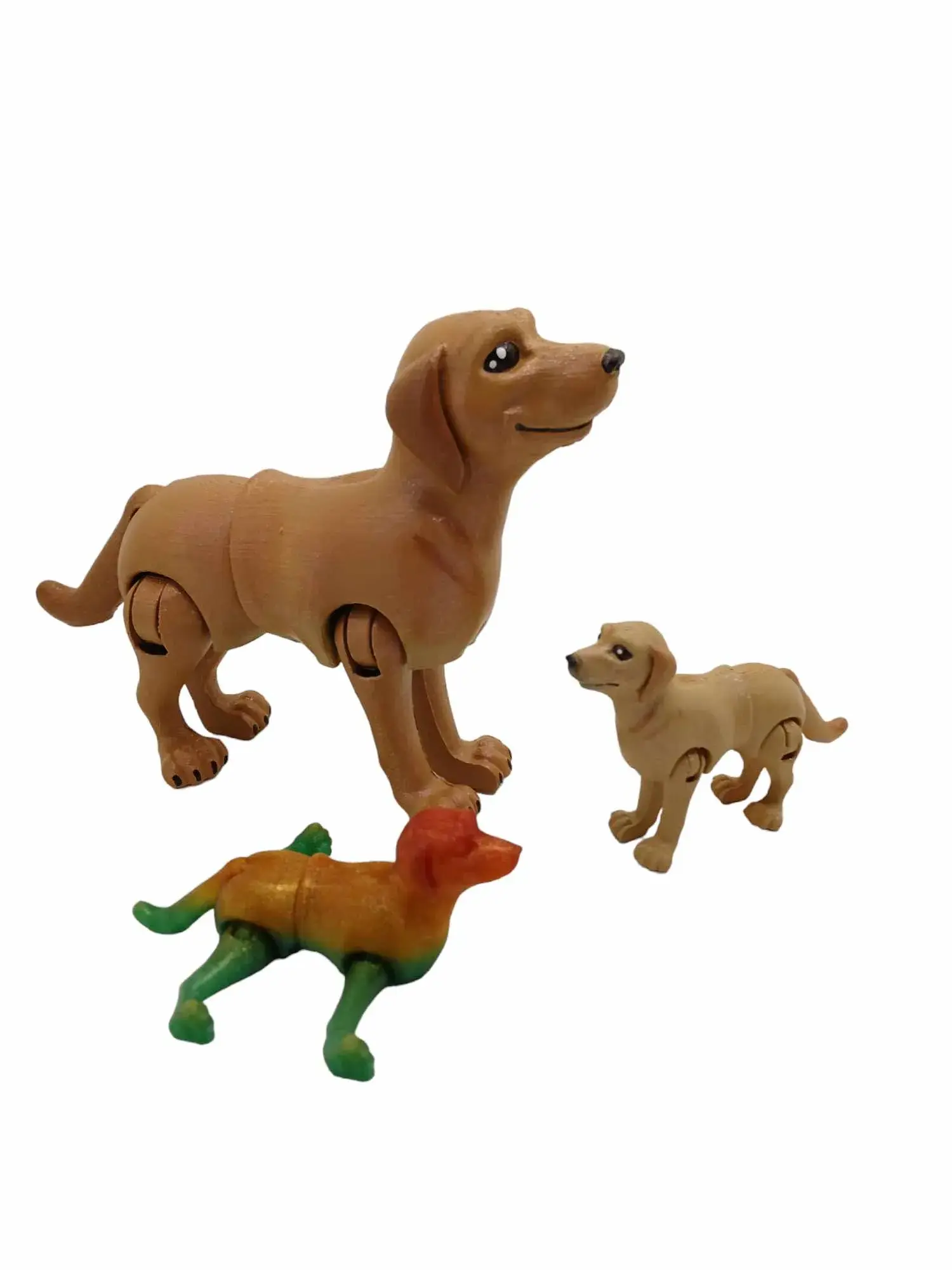 Golden Retriever de pelo corto