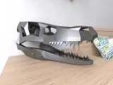 Dinosaur Skull Lowpoly Low poly-0