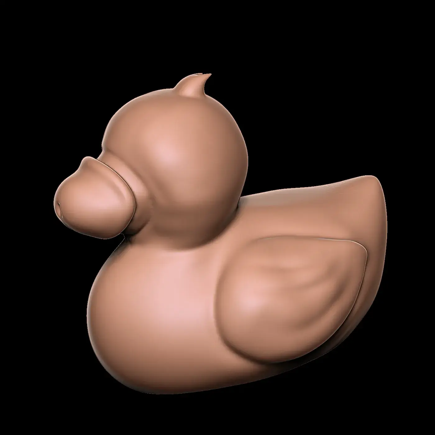 CAZZO PENE ANATRA