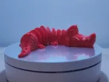 Timsah Tırtıl-0