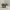 Capivara - Low polyCapivara - Low poly