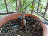 Sprinkler support-2