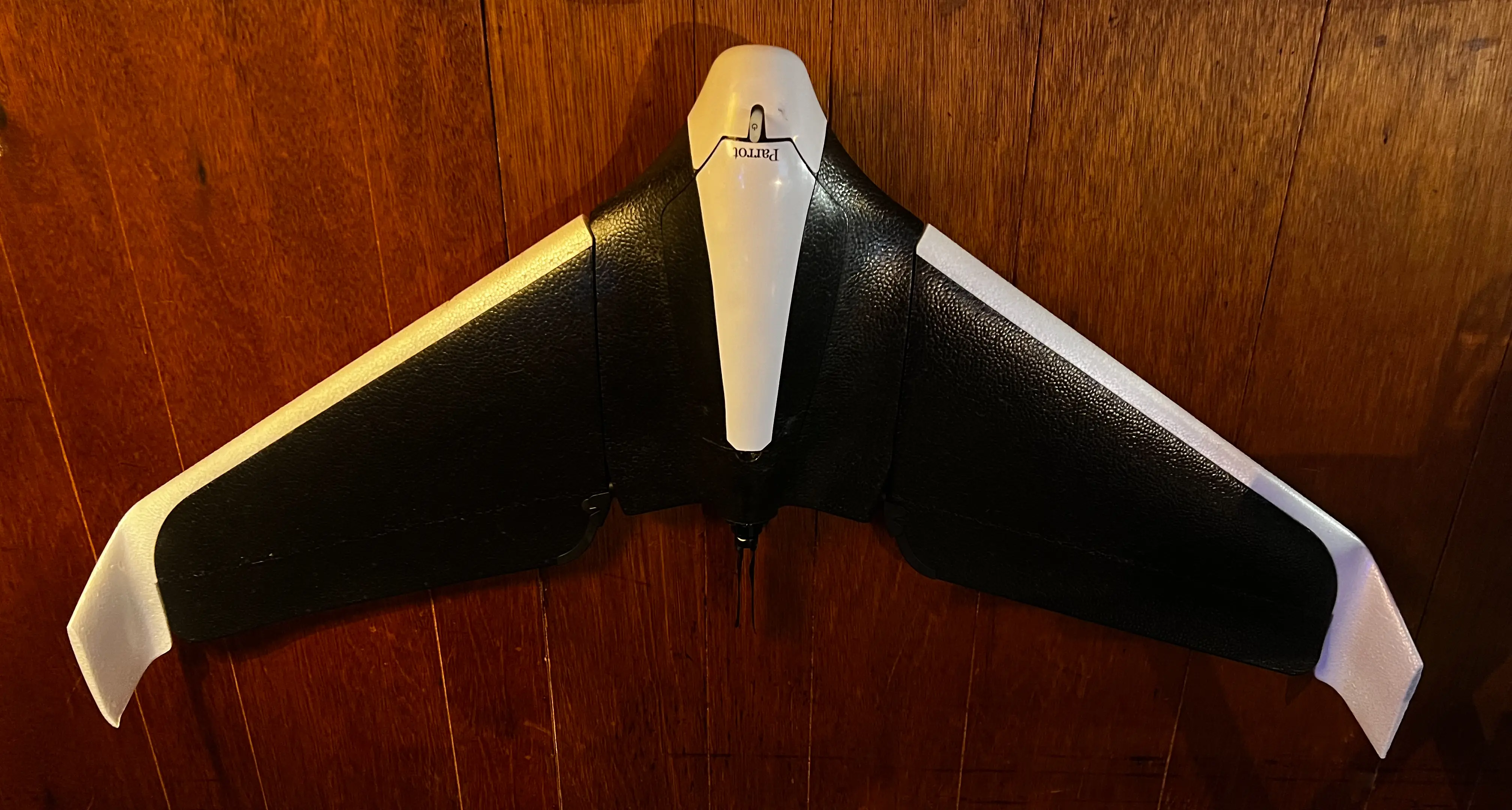 Parrot Disco Wall Mount