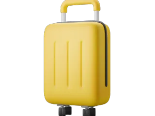 Luggage