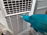 makita nozzle-2