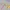 Baguette de transformation Sailor Moon Joli bâton de gardien