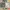 Ложемент Ticket to ride