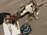 NFC-Keychain-Wolf-2