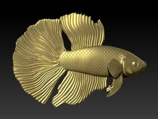 BETTA FISH