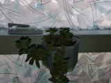 window pot or planter -4